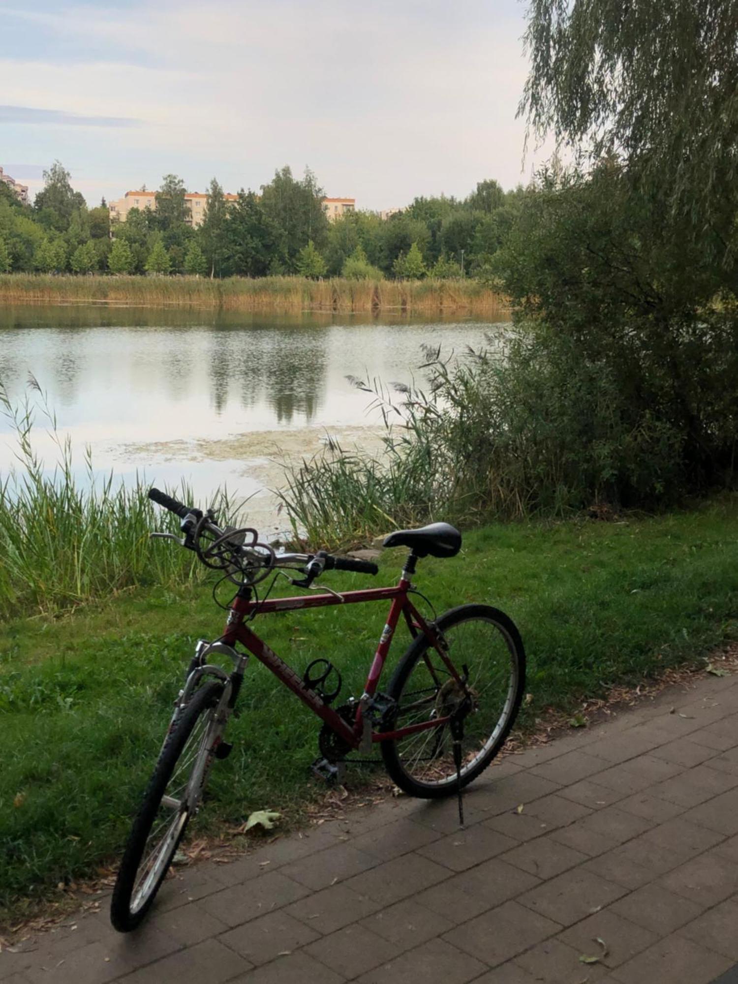 Nad Jeziorem Dlugim - Lesna Bed&bike Apartment Allenstein